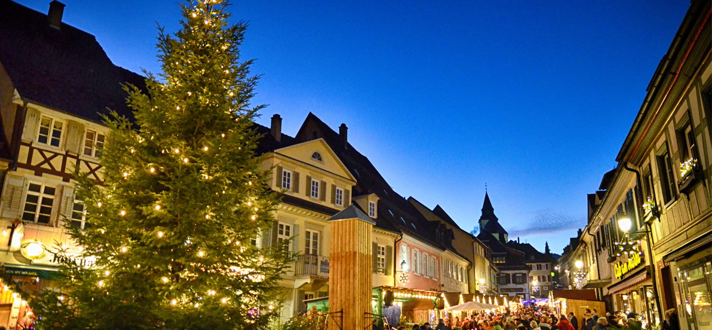 Infozentrum Kaltenbronn