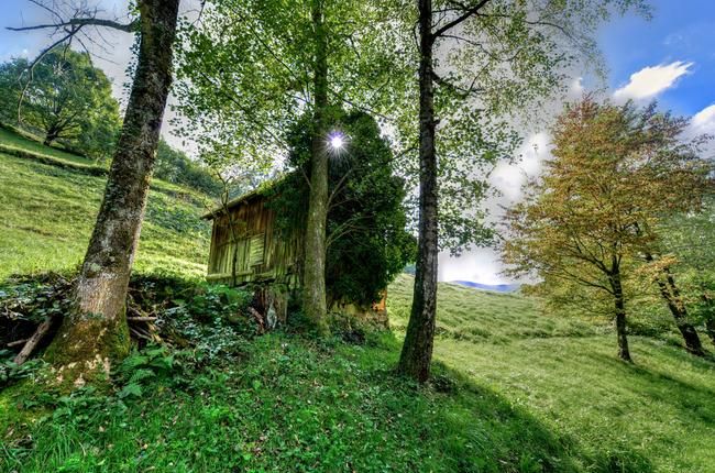 Kunstweg Compusign Gerstner Kunstweg Compusign Gerstner