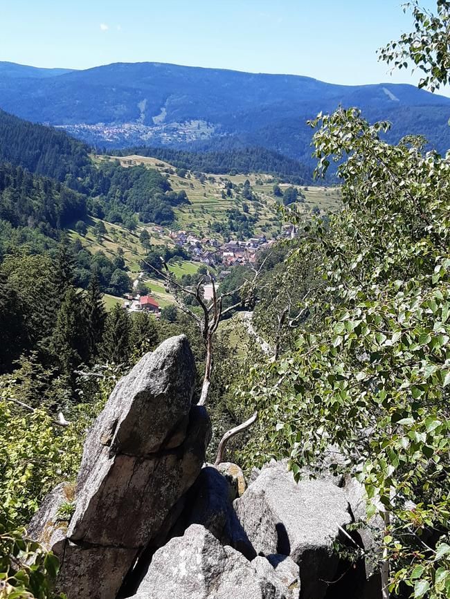 Blick vom Orgelfelsen ins Tal Blick vom Orgelfelsen