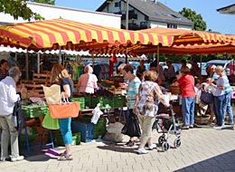 Mehrere Menschen betrachten das Angebot eines Gemüsehändlers unter gestreiften Sonnenschirmen.   