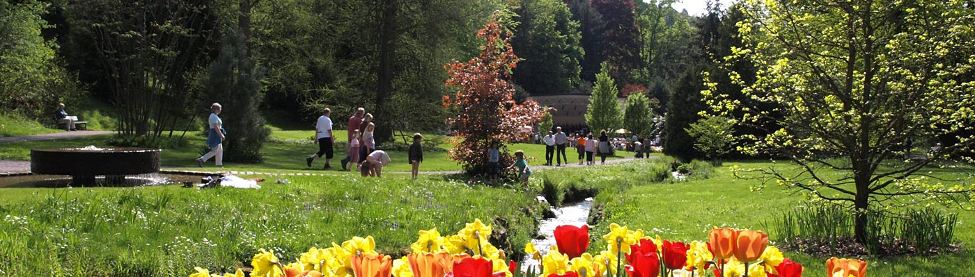 blühende Tulpen und Spaziergänger im Kurpark