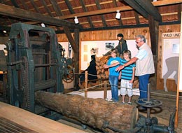 Waldmuseum Reichental Menschen betrachten die Vollgatter-Säge im Waldmuseum