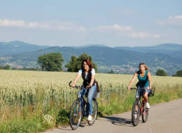 Radfahrer im Rheintal Radfahrer im Rheintal